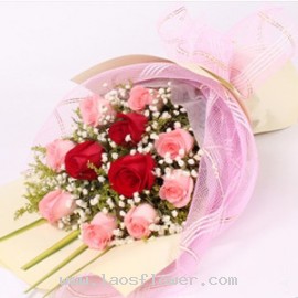 11 Pink & Red Roses